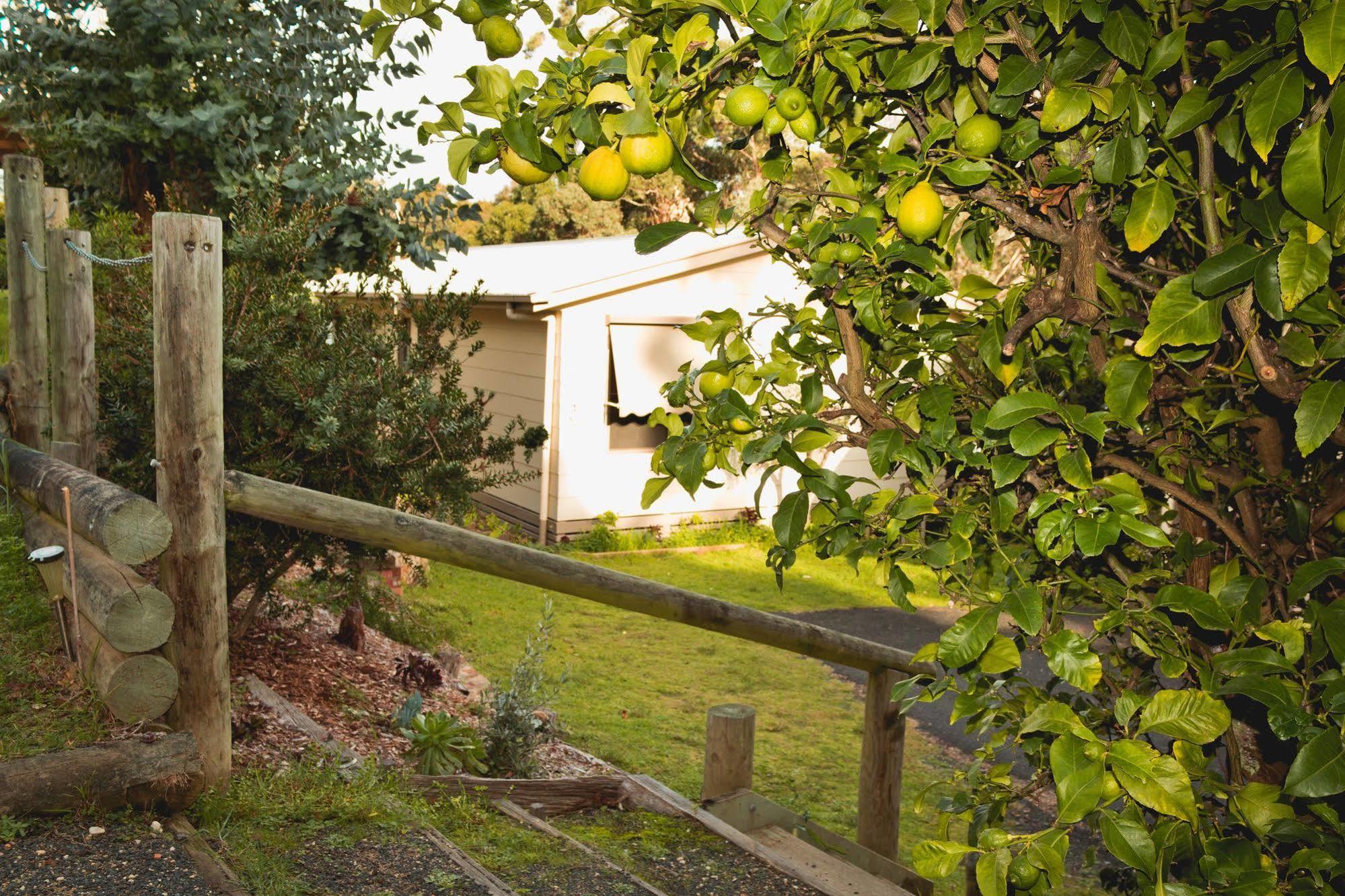 Jetty Road Retreat Διαμέρισμα Nungurner Εξωτερικό φωτογραφία